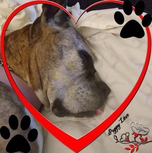 Meet your Posher, Scott